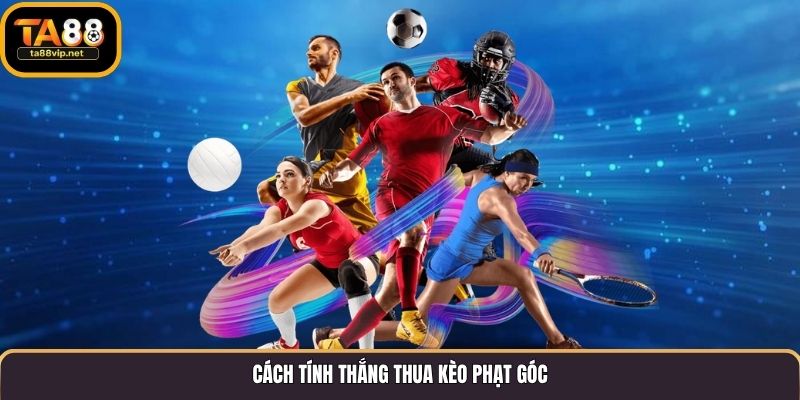 Cách tính thắng thua kèo phạt góc