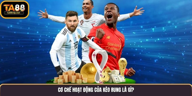 Cơ chế hoạt động của kèo rung là gì?