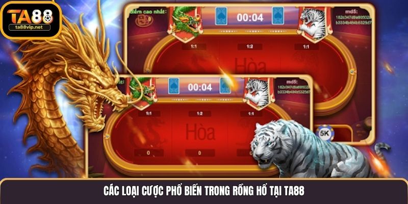 Các loại cược phổ biến trong Rồng Hổ tại TA88